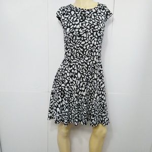Aqua Skater Dress Black and White